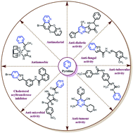 Graphical abstract: Pyridine: the scaffolds with significant clinical diversity