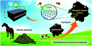 Graphical abstract: Nitrogen-doped carbon derived from horse manure biomass as a catalyst for the oxygen reduction reaction