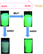 Graphical abstract: Research on the stability of luminescence of CsPbBr3 and Mn:CsPbBr3 PQDs in polar solution