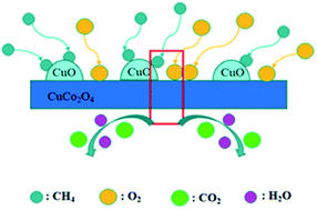 Graphical abstract: Synergy effect of CuO on CuCo2O4 for methane catalytic combustion