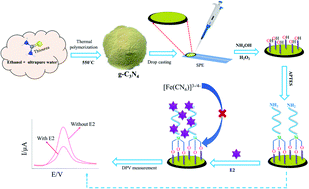 Graphical abstract: Graphitic carbon nitride and APTES modified advanced electrochemical biosensor for detection of 17β-estradiol in spiked food samples