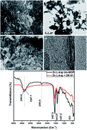 Graphical abstract: Novel aspartic-based bio-MOF adsorbent for effective anionic dye decontamination from polluted water