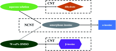 Graphical abstract: Explanation for the selective crystallization from inosine solutions using mid-frequency Raman difference spectra analysis