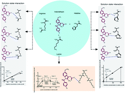 Graphical abstract: Mechanistic study of the solubilization effect of basic amino acids on a poorly water-soluble drug