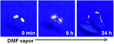 Graphical abstract: Organic deliquescence: organic vapor-induced dissolution of molecular salts