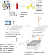 Graphical abstract: Determination of 12 anti-obesity drugs in human plasma by a 96-well protein precipitation plate using HPLC-MS