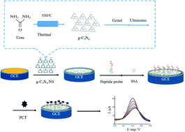 Graphical abstract: Construction of a non-enzymatic electrochemical sensor based on graphitic carbon nitride nanosheets for sensitive detection of procalcitonin