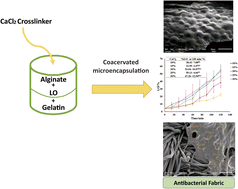 Graphical abstract: Microencapsulation of Citrus aurantifolia essential oil with the optimized CaCl2 crosslinker and its antibacterial study for cosmetic textiles