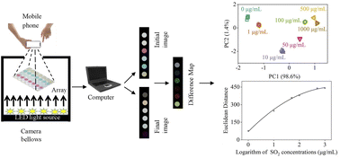 Graphical abstract: Detection and discrimination of sulfur dioxide using a colorimetric sensor array