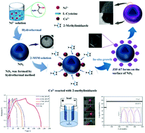 Graphical abstract: Facile design and synthesis of a nickel disulfide/zeolitic imidazolate framework-67 composite material with a robust cladding structure for high-efficiency supercapacitors