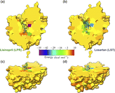 Graphical abstract: Losartan as an ACE inhibitor: a description of the mechanism of action through quantum biochemistry