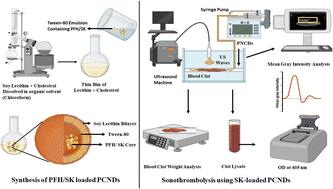 Graphical abstract: Contrast enhanced sonothrombolysis using streptokinase loaded phase change nano-droplets for potential treatment of deep venous thrombosis