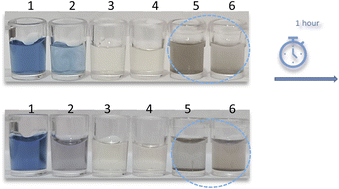 Graphical abstract: A portable colorimetric chemosensing regime for ractopamine in chicken samples using μPCD decorated by silver nanoprisms