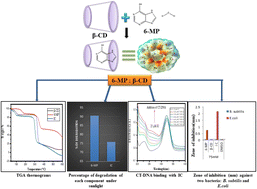 Graphical abstract: Exploring inclusion complex of an anti-cancer drug (6-MP) with β-cyclodextrin and its binding with CT-DNA for innovative applications in anti-bacterial activity and photostability optimized by computational study