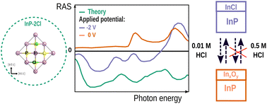 Graphical abstract: The interfacial structure of InP(100) in contact with HCl and H2SO4 studied by reflection anisotropy spectroscopy