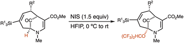 Graphical abstract: Oxidative bridgehead functionalization of (4 + 3) cycloadducts obtained from oxidopyridinium ions