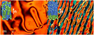 Graphical abstract: The effect of a lateral alkyloxy chain on the ferroelectric nematic phase