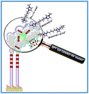 Graphical abstract: DFT and COSMO-RS studies on dicationic ionic liquids (DILs) as potential candidates for CO2 capture: the effects of alkyl side chain length and symmetry in cations