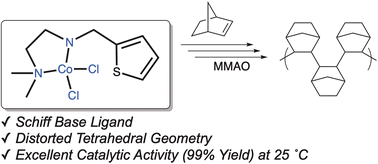 Graphical abstract: Catalytic performance of tridentate versus bidentate Co(ii) complexes supported by Schiff base ligands in vinyl addition polymerization of norbornene
