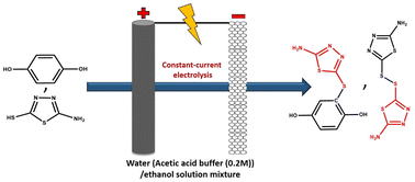 Graphical abstract: Electrochemical study of 2-amino-5-mercapto-1,3,4-thiadiazole in the absence and presence of p-benzoquinone: an efficient strategy for the electrosynthesis of new 1,3,4-thiadiazole derivatives