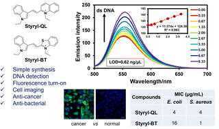 Graphical abstract: Cationic styryl dyes for DNA labelling and selectivity toward cancer cells and Gram-negative bacteria