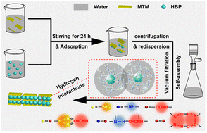 Graphical abstract: Bio-inspired nacre-like composites with excellent mechanical properties, gas-barrier function and fire-retardant performances based on self-assembly between hyperbranched poly(amido amine)s and montmorillonite
