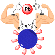 Graphical abstract: A high-performance fluorescent hybrid material for fluorometric detection and removal of toxic Pb(ii) ions from aqueous media: performance and challenges