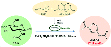 Graphical abstract: Preparation of 3-aceta mido-5-acetylfuran from N-acetylglucosamine and chitin using biobased deep eutectic solvents as catalysts