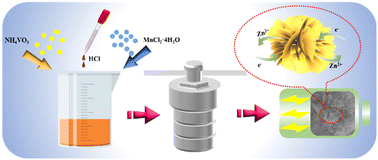 Graphical abstract: Morphology modulation and electrochemical performance properties of Mn-decorated (NH4)2V10O25·8H2O as a cathode material for aqueous zinc-ion batteries