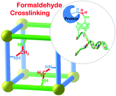 Graphical abstract: Biomimetic mimicry of formaldehyde-induced DNA–protein crosslinks in the confined space of a metal–organic framework