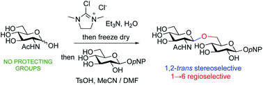 Graphical abstract: Protecting group free glycosylation: one-pot stereocontrolled access to 1,2-trans glycosides and (1→6)-linked disaccharides of 2-acetamido sugars