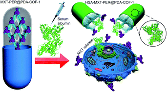 Graphical abstract: Efficacious and sustained release of an anticancer drug mitoxantrone from new covalent organic frameworks using protein corona