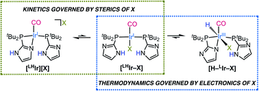 Graphical abstract: The underappreciated influence of ancillary halide on metal–ligand proton tautomerism