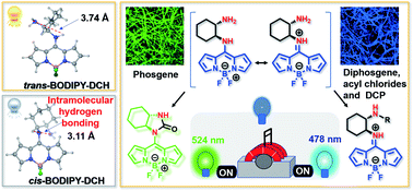 Graphical abstract: A molecular recognition platform for the simultaneous sensing of diverse chemical weapons