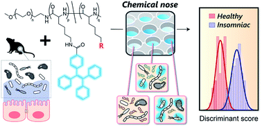 Graphical abstract: Polymer-based chemical-nose systems for optical-pattern recognition of gut microbiota