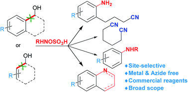 Graphical abstract: Site-selective amination and/or nitrilation via metal-free C(sp2)–C(sp3) cleavage of benzylic and allylic alcohols