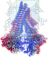 Graphical abstract: Extended-ensemble docking to probe dynamic variation of ligand binding sites during large-scale structural changes of proteins