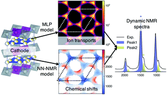 Graphical abstract: A machine learning protocol for revealing ion transport mechanisms from dynamic NMR shifts in paramagnetic battery materials