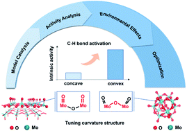 Graphical abstract: Enhanced C–H bond activation by tuning the local environment of surface lattice oxygen of MoO3