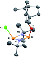 Graphical abstract: A chiral phosphazane reagent strategy for the determination of enantiomeric excess of amines