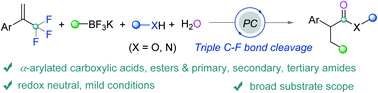 Graphical abstract: Modular synthesis of α-arylated carboxylic acids, esters and amides via photocatalyzed triple C–F bond cleavage of methyltrifluorides