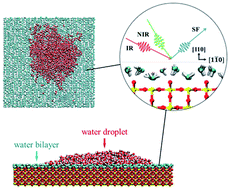 Graphical abstract: Room temperature bilayer water structures on a rutile TiO2(110) surface: hydrophobic or hydrophilic?