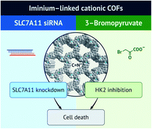 Graphical abstract: Ambient synthesis of an iminium-linked covalent organic framework for synergetic RNA interference and metabolic therapy of fibrosarcoma