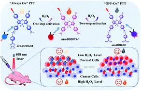 Graphical abstract: Activatable photothermal agents with target-initiated large spectral separation for highly effective reduction of side effects