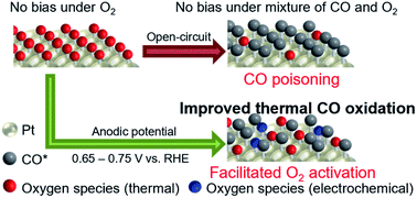Graphical abstract: Surface coverage control for dramatic enhancement of thermal CO oxidation by precise potential tuning of metal supported catalysts