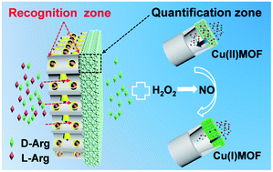Graphical abstract: Locally superengineered cascade recognition–quantification zones in nanochannels for sensitive enantiomer identification