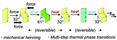 Graphical abstract: Mechanical deformation and multiple thermal restoration of organic crystals: reversible multi-stage shape-changing effect with luminescence-color changes