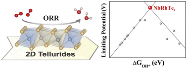 Graphical abstract: A theoretical roadmap for the best oxygen reduction activity in two-dimensional transition metal tellurides