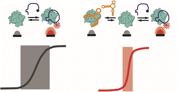 Graphical abstract: The sequestration mechanism as a generalizable approach to improve the sensitivity of biosensors and bioassays
