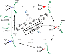 Graphical abstract: Taming the stilbene radical anion